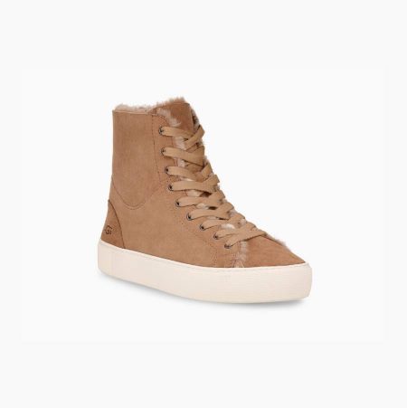 UGG Beven Khaki Sneakers for Women (OXYH98630)